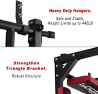 Heavy-Duty Wall Mounted Pull Up & Dip Station