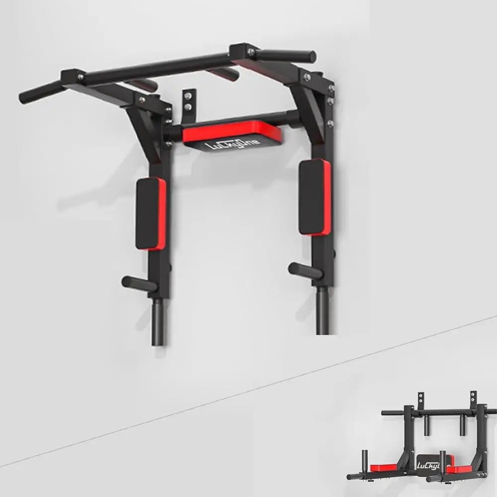 Heavy-Duty Wall Mounted Pull Up & Dip Station