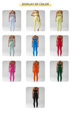 ZenithFlex Activewear